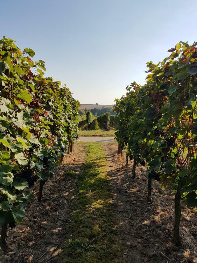 Weingut & Gaestehaus Nagel Kapellen-Drusweiler Luaran gambar