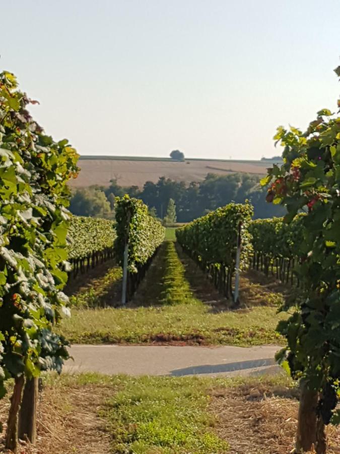 Weingut & Gaestehaus Nagel Kapellen-Drusweiler Luaran gambar